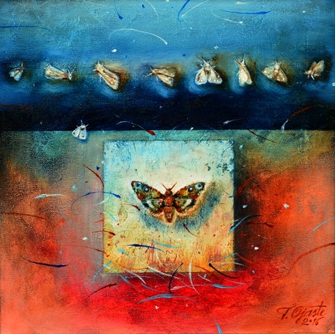 Moths, 30x30cm, oil, canvas, 2016